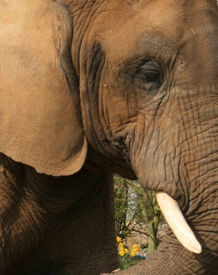 Don’t be a Hater: A Revision