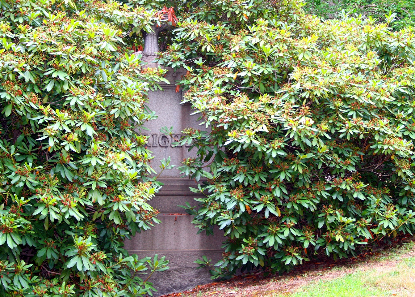 How We Die… New Post at elephant journal