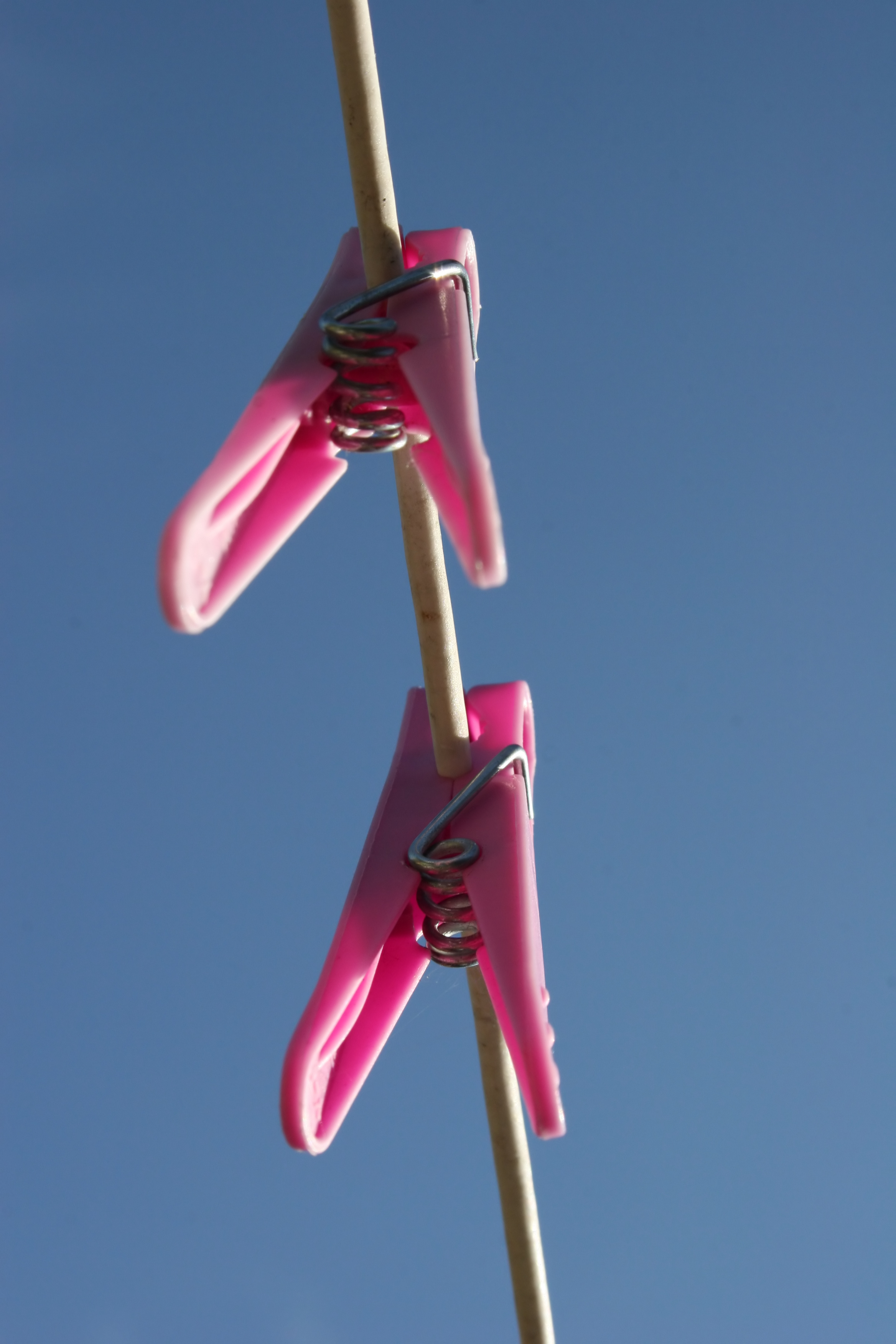 Panties! A Guest Post at elephant journal.