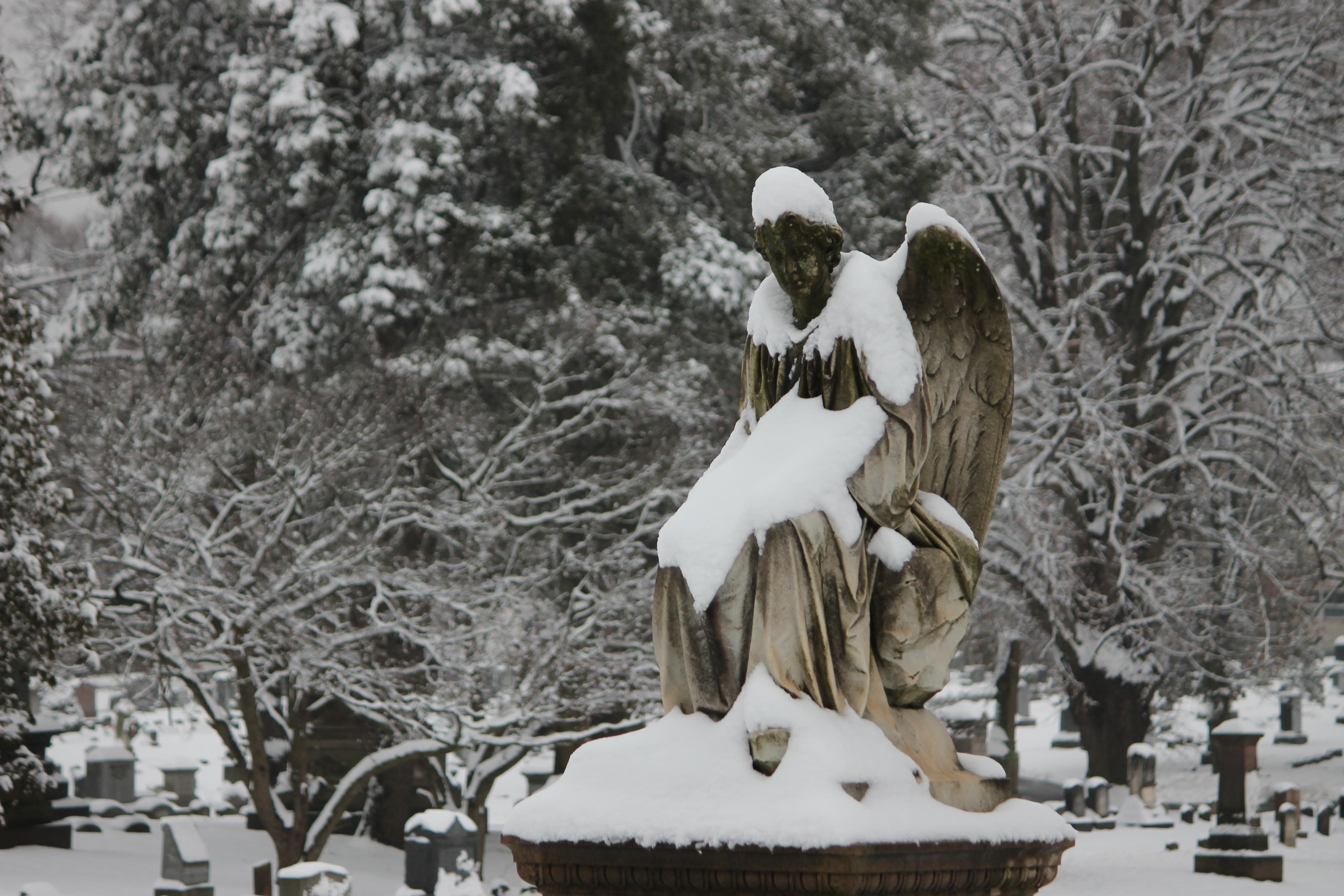 Purple Clover post: When a Friend Dies Young